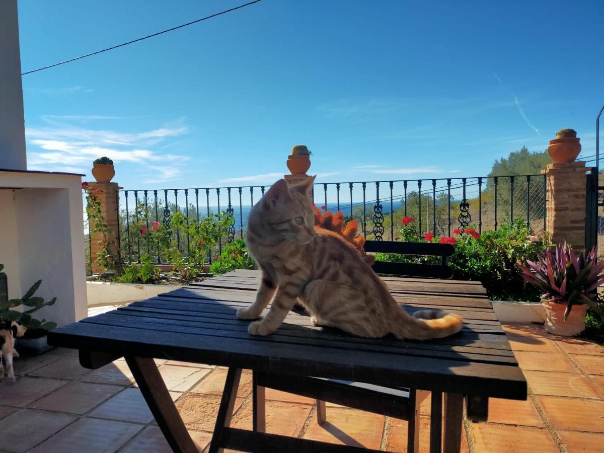 Paraje El Pozo Málaga Dış mekan fotoğraf