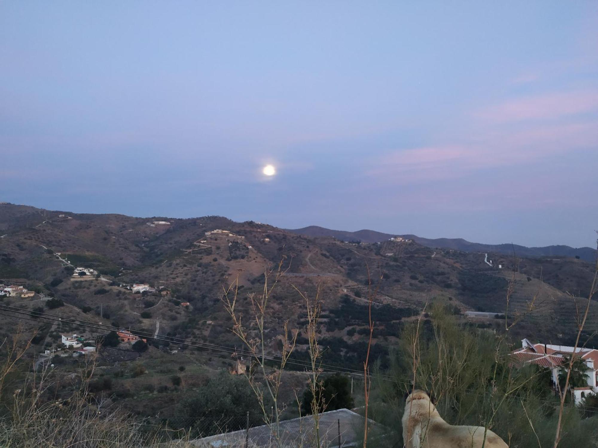 Paraje El Pozo Málaga Dış mekan fotoğraf