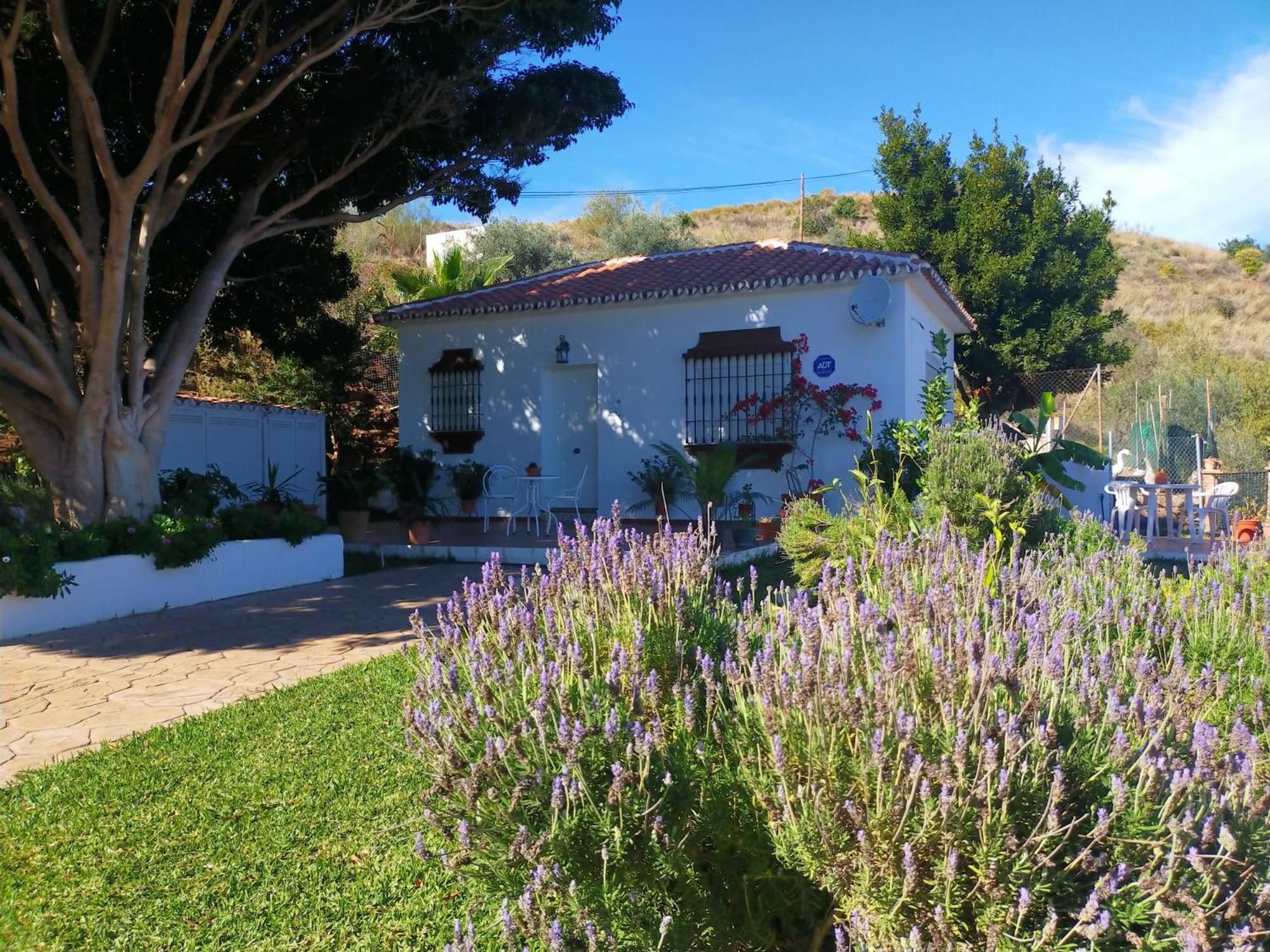 Paraje El Pozo Málaga Dış mekan fotoğraf