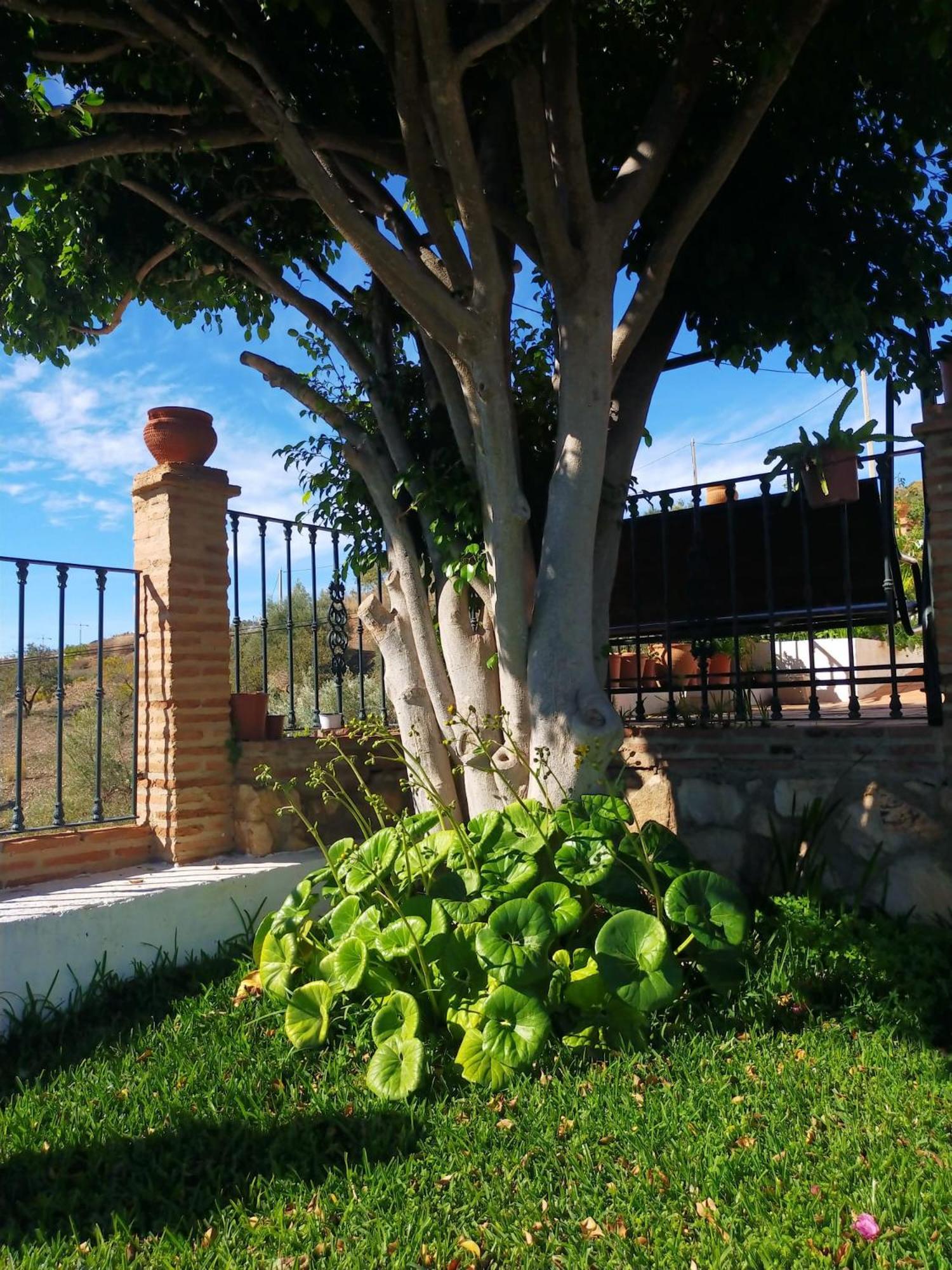 Paraje El Pozo Málaga Dış mekan fotoğraf